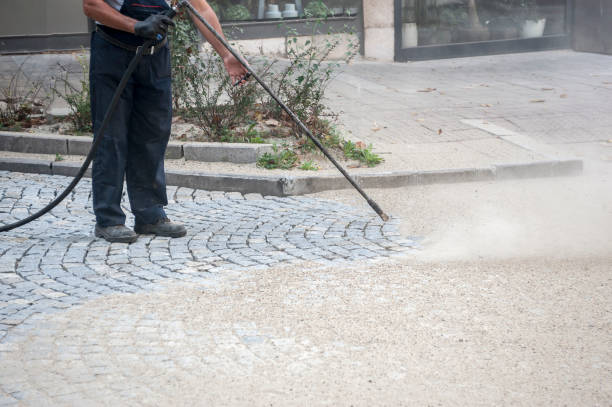 Best Sidewalk and Walkway Cleaning  in Greenfield, IL